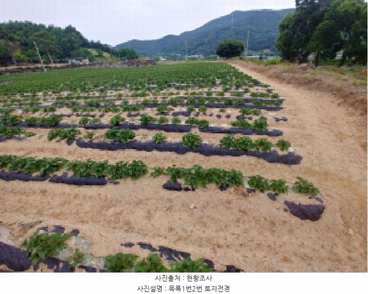 2025타경502551 충청남도 금산군 군북면 동편리 156 농지 경매 이미지