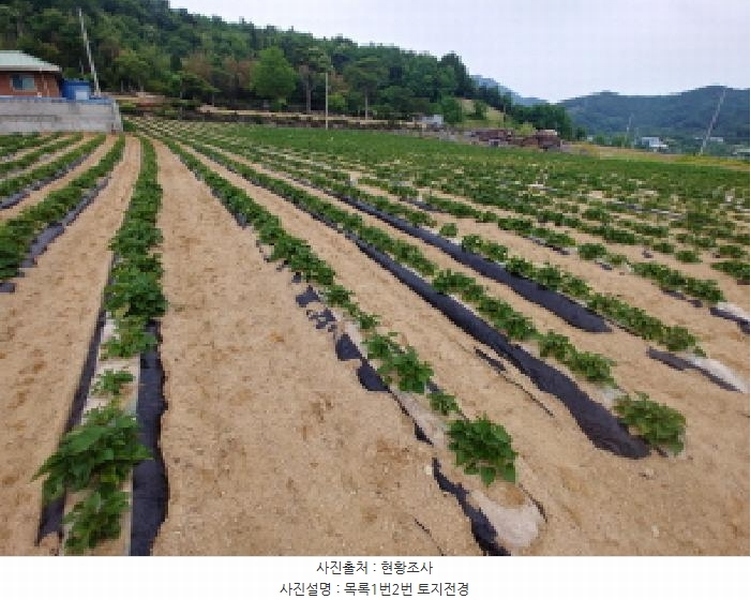 2025타경502551 충청남도 금산군 군북면 동편리 156 농지 경매 이미지