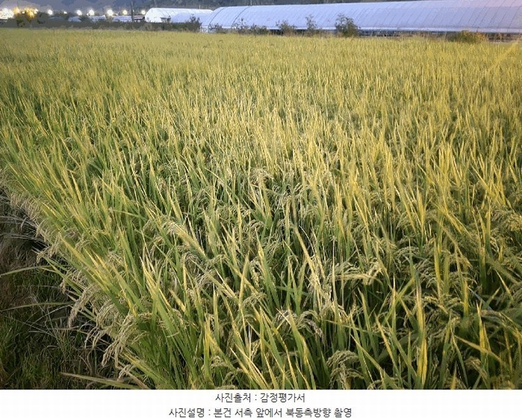 2025타경503333 세종특별자치시 금남면 도암리 90-1 농지 경매 이미지