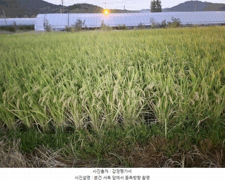 2025타경503333 세종특별자치시 금남면 도암리 90-1 농지 경매 이미지