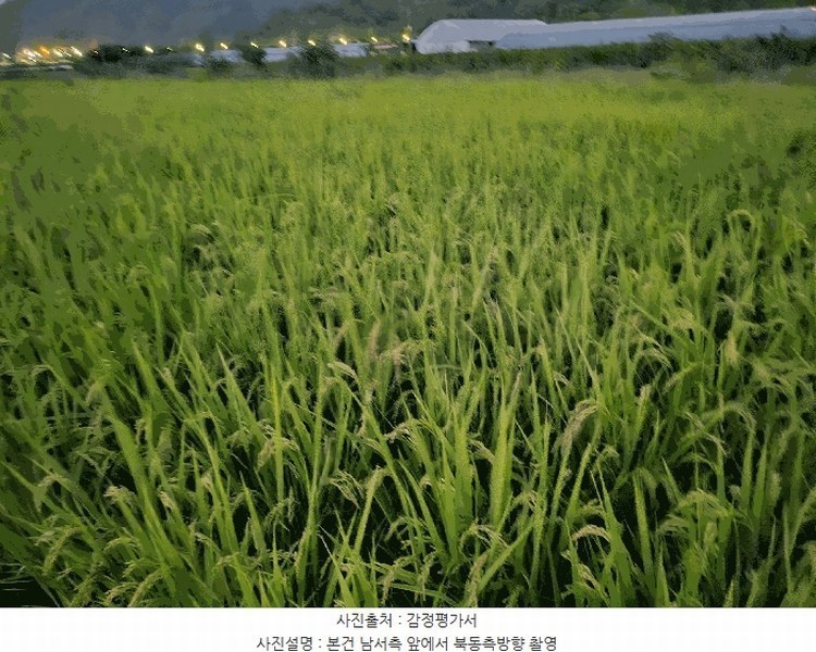 2025타경503333 세종특별자치시 금남면 도암리 90-1 농지 경매 이미지