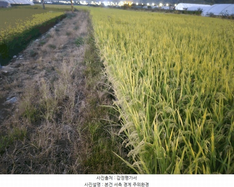 2025타경503333 세종특별자치시 금남면 도암리 90-1 농지 경매 이미지