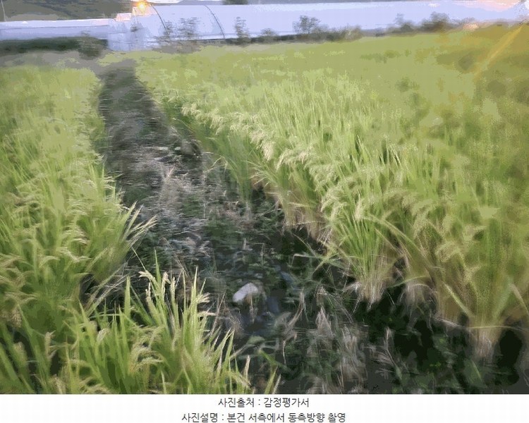 2025타경503333 세종특별자치시 금남면 도암리 90-1 농지 경매 이미지