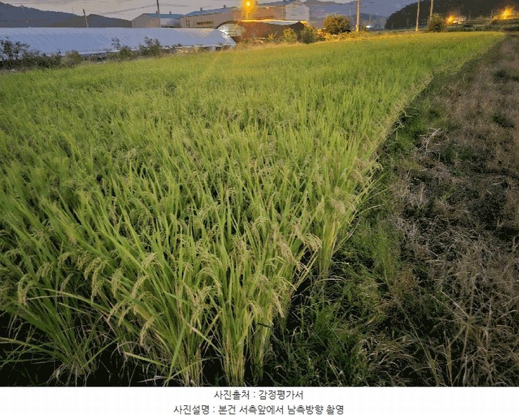 2025타경503333 세종특별자치시 금남면 도암리 90-1 농지 경매 이미지