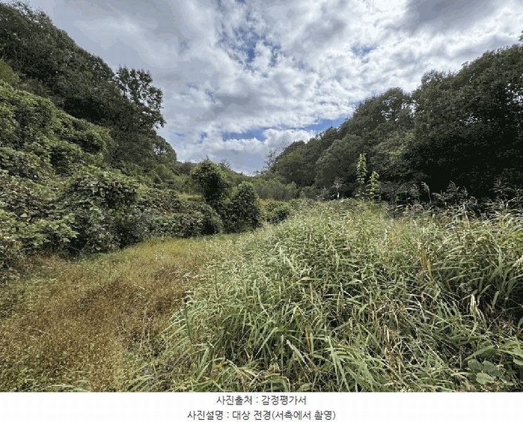 2025타경503482 세종특별자치시 전동면 노장리 62 임야 경매 이미지