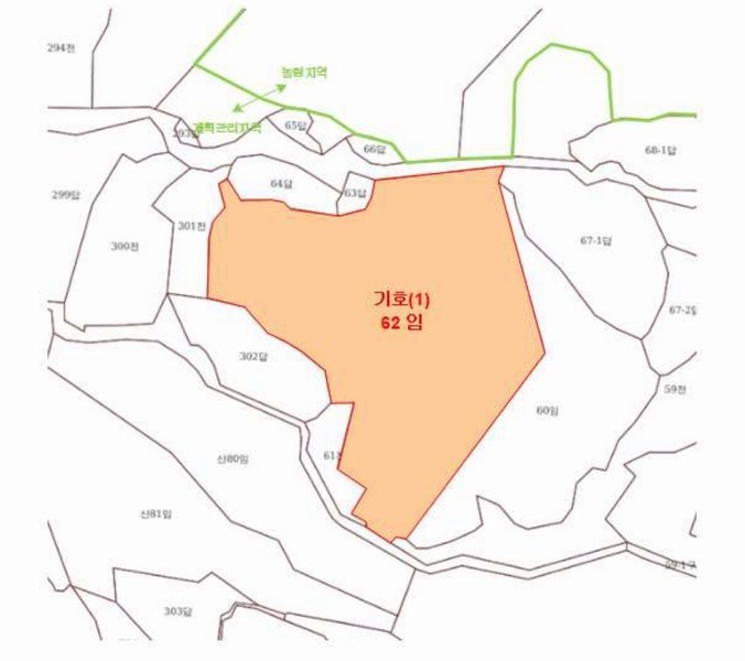 2025타경503482 세종특별자치시 전동면 노장리 62 임야 경매 이미지