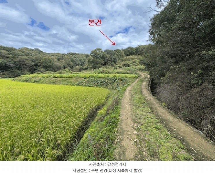 2025타경503482 세종특별자치시 전동면 노장리 62 임야 경매 이미지