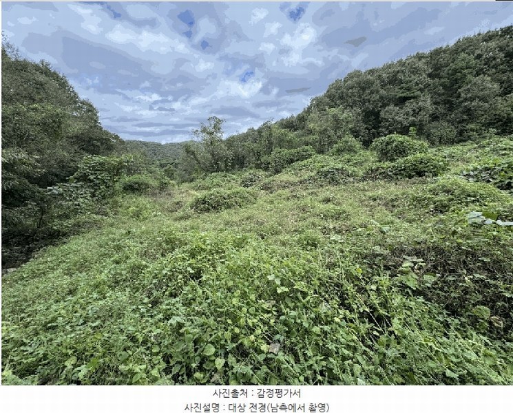 2025타경503482 세종특별자치시 전동면 노장리 62 임야 경매 이미지