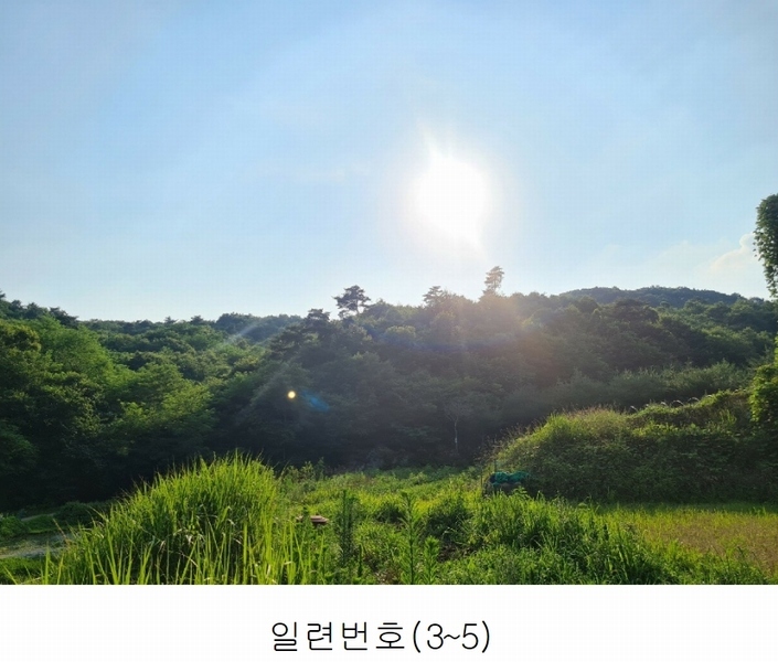 2023타경4523 세종특별자치시 장군면 금암리 318-1 임야 경매 이미지