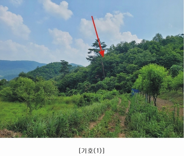 2023타경4523 세종특별자치시 장군면 금암리 318-1 임야 경매 이미지