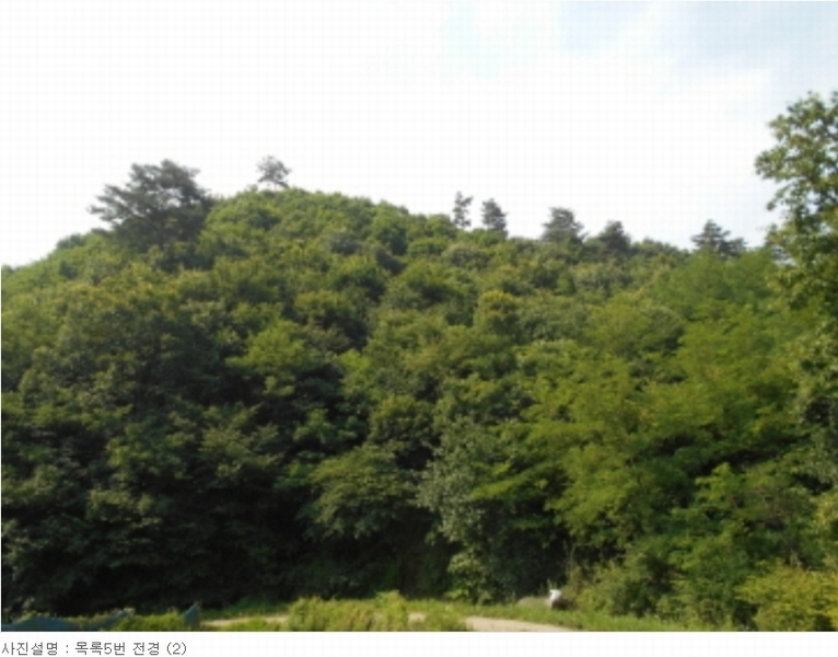 2023타경4523 세종특별자치시 장군면 금암리 318-1 임야 경매 이미지
