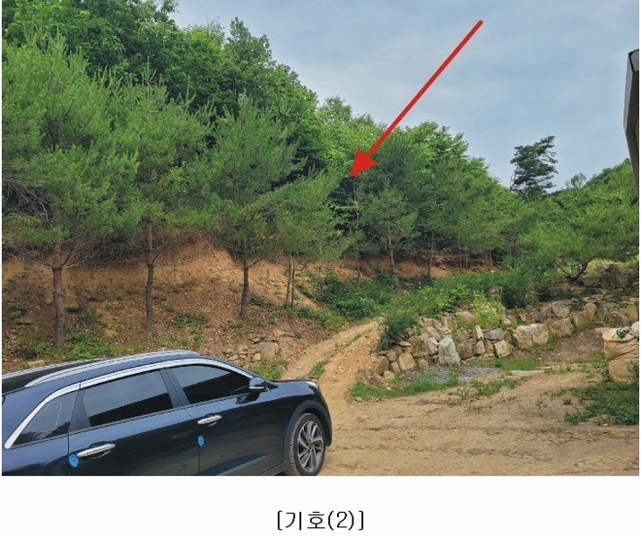 2023타경4523 세종특별자치시 장군면 금암리 318-1 임야 경매 이미지
