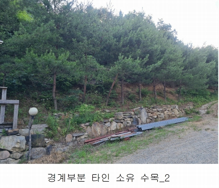 2023타경4523 세종특별자치시 장군면 금암리 318-1 임야 경매 이미지