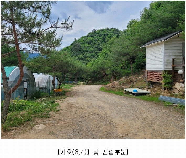 2023타경4523 세종특별자치시 장군면 금암리 318-1 임야 경매 이미지