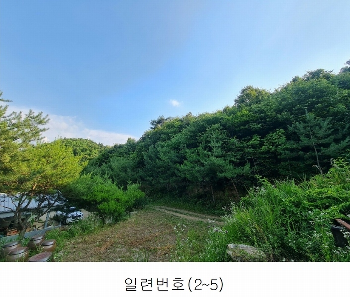 2023타경4523 세종특별자치시 장군면 금암리 318-1 임야 경매 이미지