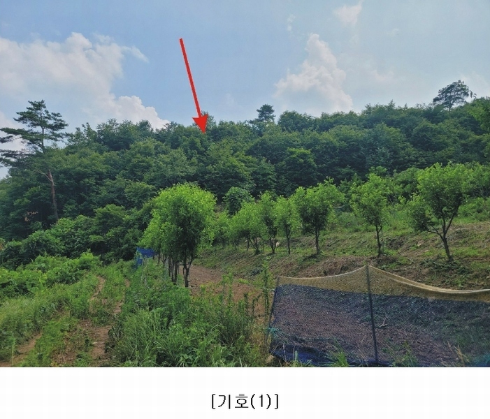2023타경4523 세종특별자치시 장군면 금암리 318-1 임야 경매 이미지