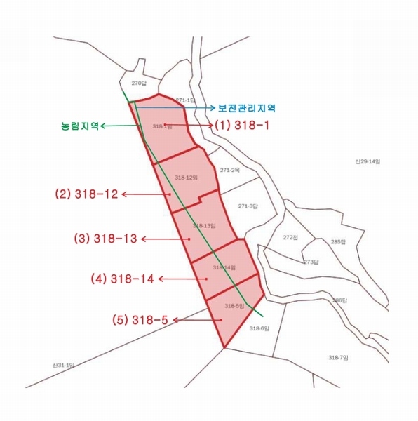 2023타경4523 세종특별자치시 장군면 금암리 318-1 임야 경매 이미지