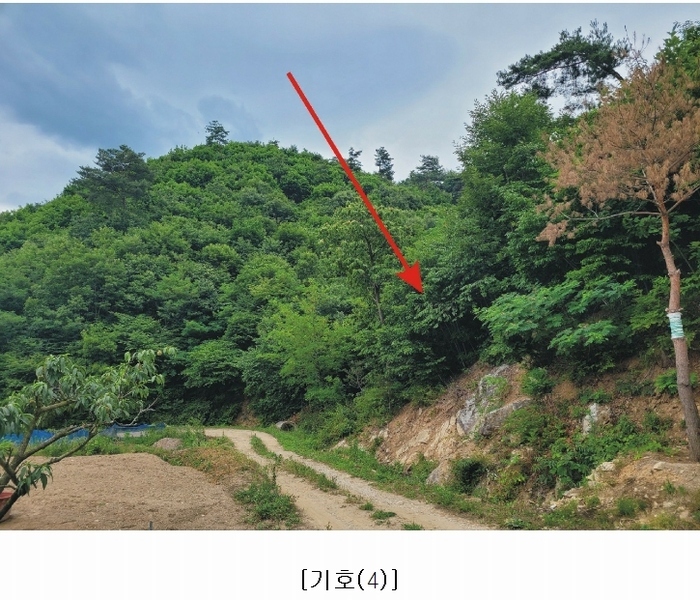 2023타경4523 세종특별자치시 장군면 금암리 318-1 임야 경매 이미지
