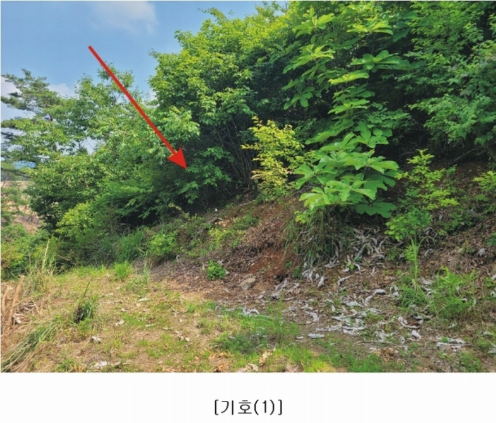 2023타경4523 세종특별자치시 장군면 금암리 318-1 임야 경매 이미지