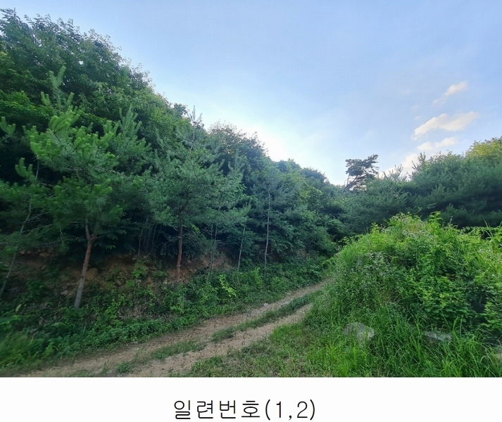 2023타경4523 세종특별자치시 장군면 금암리 318-1 임야 경매 이미지