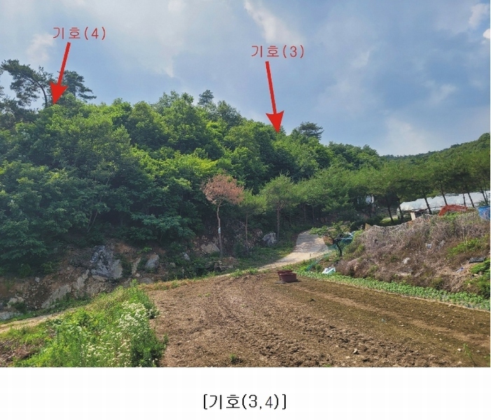 2023타경4523 세종특별자치시 장군면 금암리 318-1 임야 경매 이미지