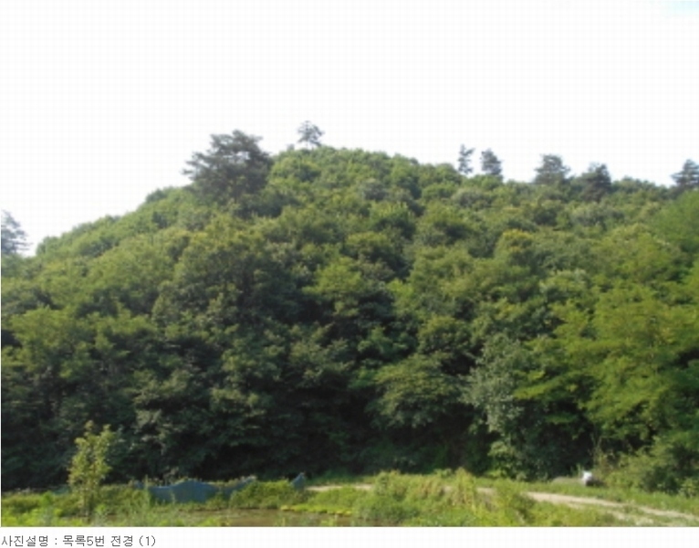 2023타경4523 세종특별자치시 장군면 금암리 318-1 임야 경매 이미지