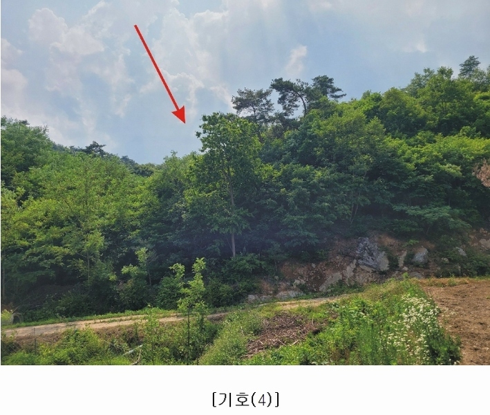 2023타경4523 세종특별자치시 장군면 금암리 318-1 임야 경매 이미지