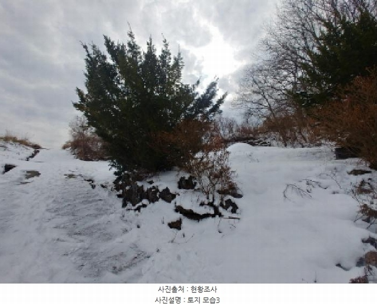 2024타경11917 충청남도 금산군 남일면 황풍리 331-6 농지 경매 이미지