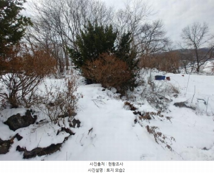 2024타경11917 충청남도 금산군 남일면 황풍리 331-6 농지 경매 이미지