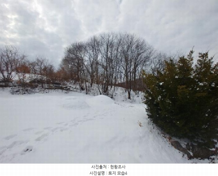 2024타경11917 충청남도 금산군 남일면 황풍리 331-6 농지 경매 이미지