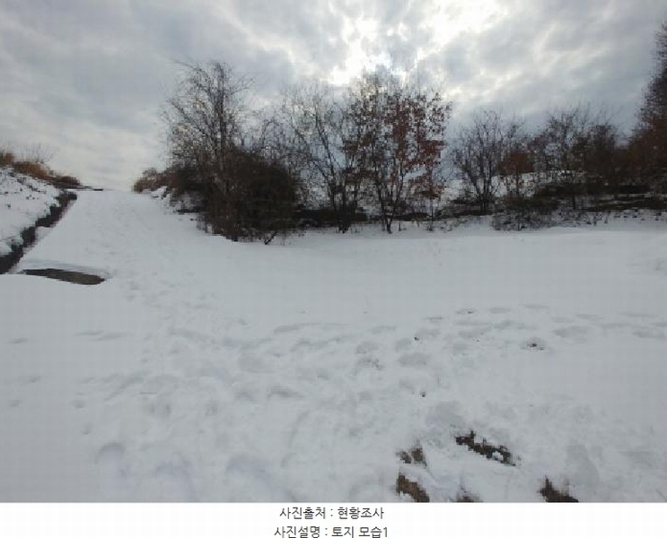2024타경11917 충청남도 금산군 남일면 황풍리 331-6 농지 경매 이미지
