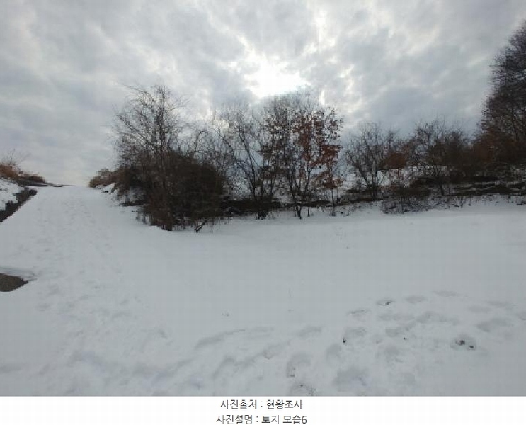 2024타경11917 충청남도 금산군 남일면 황풍리 331-6 농지 경매 이미지