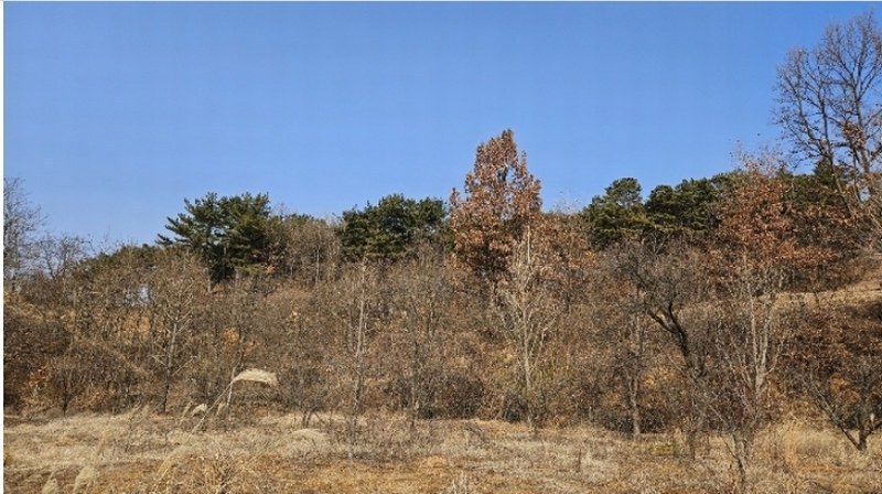 2024타경125250 대전광역시 유성구 방동 699-1 농지 경매 이미지