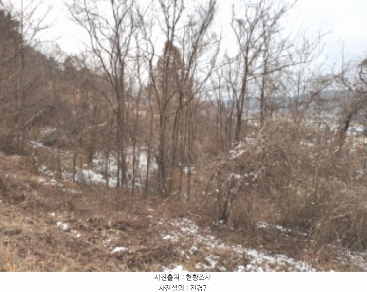 2024타경125250 대전광역시 유성구 방동 699-1 농지 경매 이미지