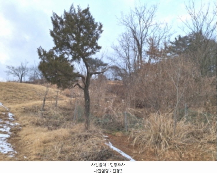 2024타경125250 대전광역시 유성구 방동 699-1 농지 경매 이미지