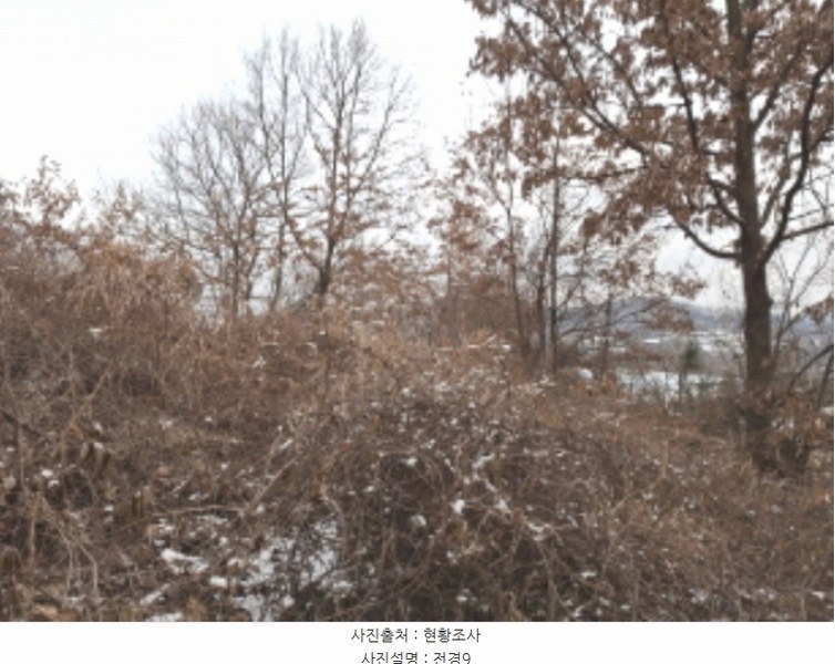 2024타경125250 대전광역시 유성구 방동 699-1 농지 경매 이미지
