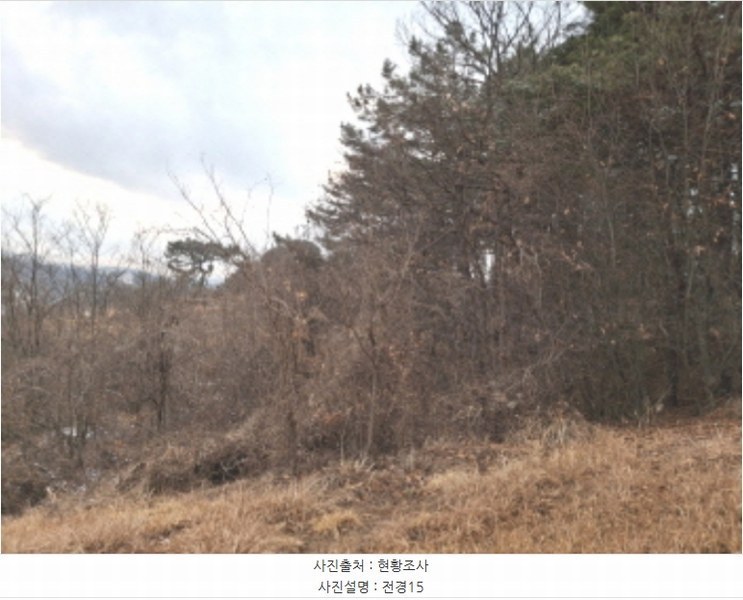 2024타경125250 대전광역시 유성구 방동 699-1 농지 경매 이미지