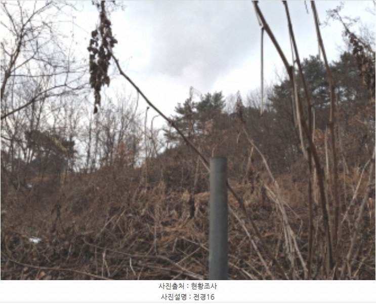 2024타경125250 대전광역시 유성구 방동 699-1 농지 경매 이미지