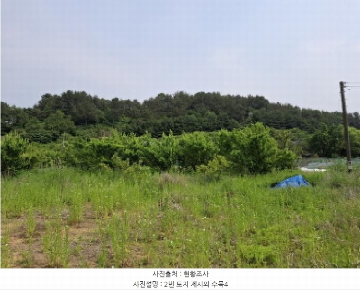 2025타경3539 대전광역시 동구 비룡동 71 농지 경매 이미지