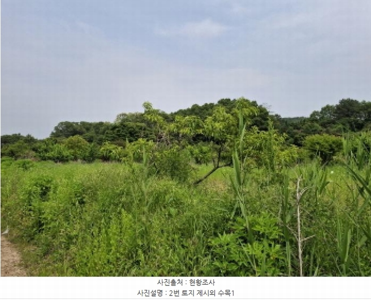 2025타경3539 대전광역시 동구 비룡동 71 농지 경매 이미지