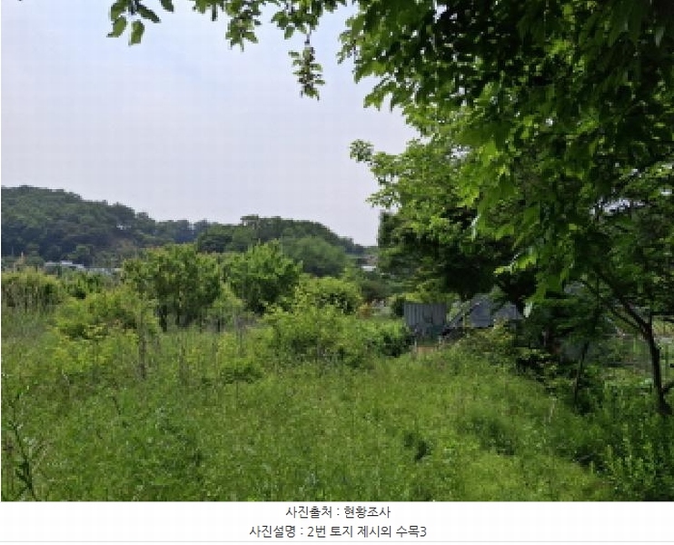 2025타경3539 대전광역시 동구 비룡동 71 농지 경매 이미지
