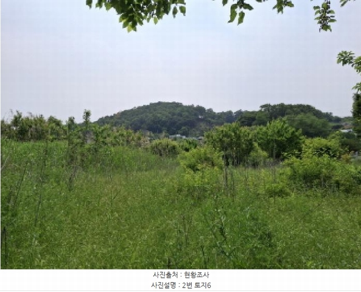 2025타경3539 대전광역시 동구 비룡동 71 농지 경매 이미지