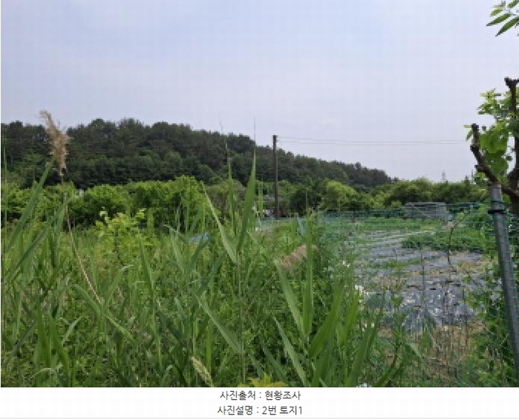 2025타경3539 대전광역시 동구 비룡동 71 농지 경매 이미지