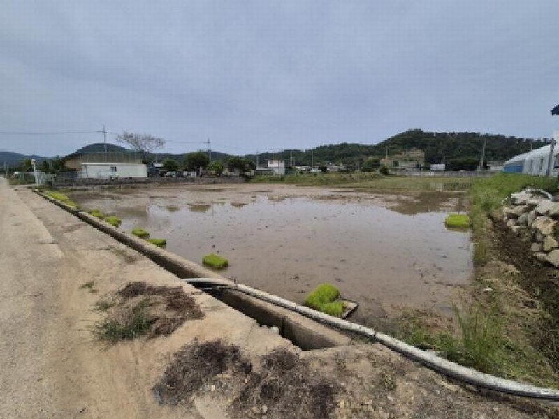 2025타경10534 경상북도 경주시 양남면 하서리 965-4 농지 경매 이미지