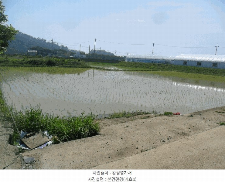 2025타경10534 경상북도 경주시 양남면 하서리 965-4 농지 경매 이미지