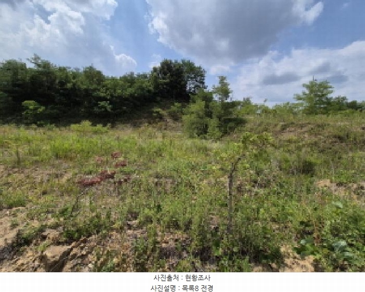 2025타경3597 세종특별자치시 장군면 봉안리 216-7 임야 경매 이미지