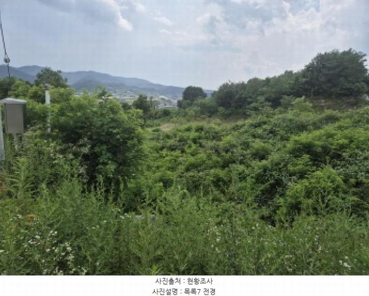 2025타경3597 세종특별자치시 장군면 봉안리 216-7 임야 경매 이미지