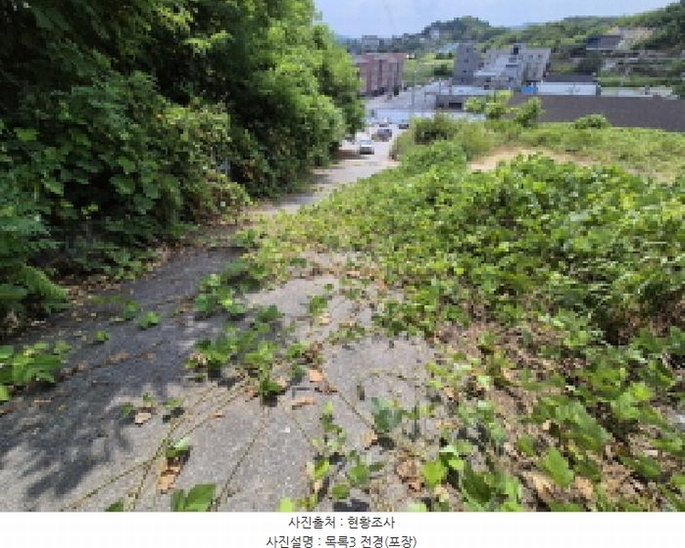 2025타경3597 세종특별자치시 장군면 봉안리 216-7 임야 경매 이미지
