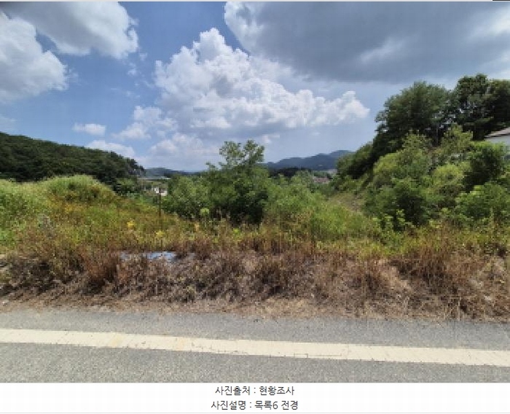 2025타경3597 세종특별자치시 장군면 봉안리 216-7 임야 경매 이미지