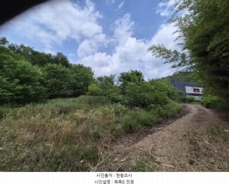 2025타경3597 세종특별자치시 장군면 봉안리 216-7 임야 경매 이미지